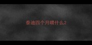 泰迪四个月喂什么