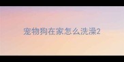 宠物狗在家怎么洗澡