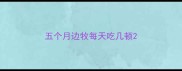五个月边牧每天吃几顿