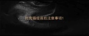 打完猫疫苗后注意事项