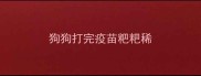 狗狗打完疫苗粑粑稀