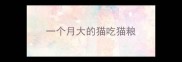 一个月大的猫吃猫粮