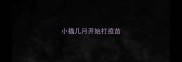 小猫几月开始打疫苗