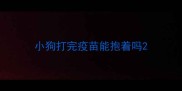 小狗打完疫苗能抱着吗
