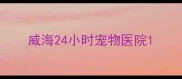 威海24小时宠物医院