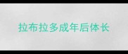 拉布拉多成年后体长
