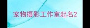 宠物摄影工作室起名