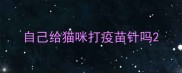 自己给猫咪打疫苗针吗
