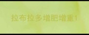 拉布拉多增肥增重