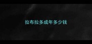 拉布拉多成年多少钱