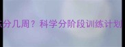 狗狗基础动作训练分几周科学分阶段训练计划附训练周期表