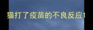 猫打了疫苗的不良反应