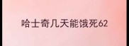哈士奇几天能饿死6