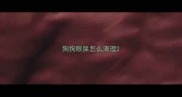 狗狗眼屎怎么清理