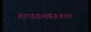 狗打疫苗间隔多长时