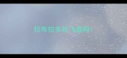 拉布拉多玩飞盘吗