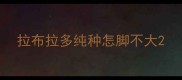拉布拉多纯种怎脚不大