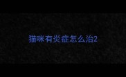 猫咪有炎症怎么治
