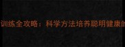 拉布拉多训练全攻略科学方法培养聪明健康的工作犬