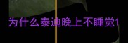 为什么泰迪晚上不睡觉