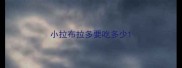 小拉布拉多要吃多少
