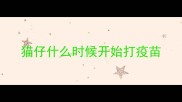 猫仔什么时候开始打疫苗