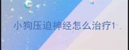 小狗压迫神经怎么治疗