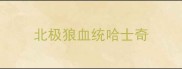 北极狼血统哈士奇