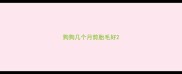 狗狗几个月剪胎毛好