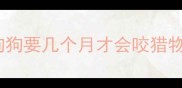 狗狗要几个月才会咬猎物