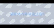 猫咪体内外驱虫注意