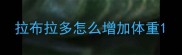 拉布拉多怎么增加体重