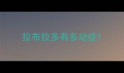 拉布拉多有多动症