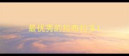 最优秀的拉布拉多