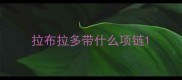 拉布拉多带什么项链