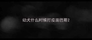 幼犬什么时候打疫苗巴哥