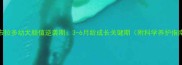 拉布拉多幼犬颜值逆袭期3-6月龄成长关键期附科学养护指南