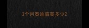 3个月泰迪肩高多少