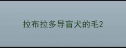 拉布拉多导盲犬的毛
