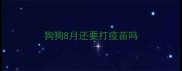 狗狗8月还要打疫苗吗