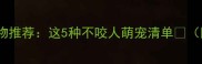 家庭友好型宠物推荐这5种不咬人萌宠清单附饲养指南