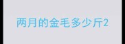 两月的金毛多少斤