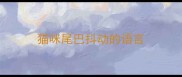 猫咪尾巴抖动的语言