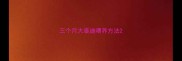 三个月大泰迪喂养方法