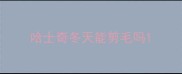 哈士奇冬天能剪毛吗