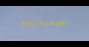 幼犬几个月可以抱