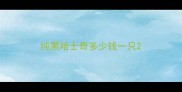 纯黑哈士奇多少钱一只