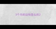 3个月的边牧怎么吃