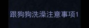 跟狗狗洗澡注意事项