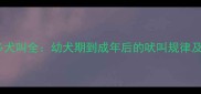 拉布拉多犬叫全幼犬期到成年后的吠叫规律及训练指南